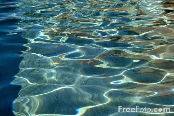 Weekly Pool Cleaning photo 1